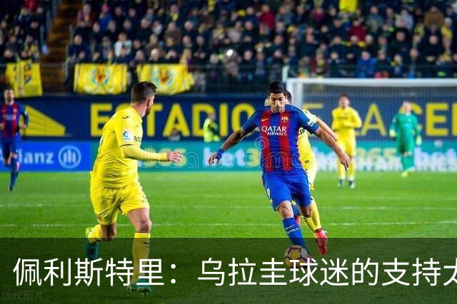 佩利斯特里：乌拉圭球迷的支持太给力了，我们会一场一场拼